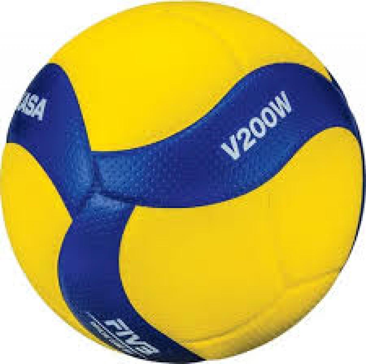 Pelota De Voley N 5 Mikasa Art V200w